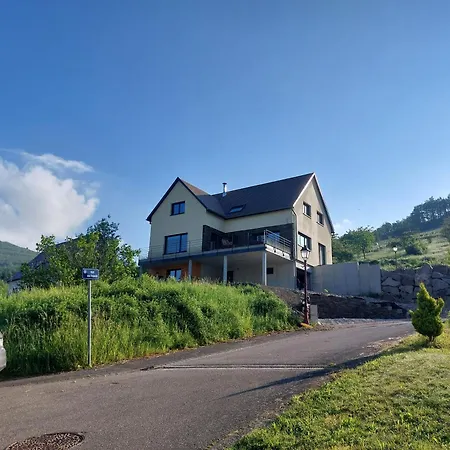 Daire Winstub Du Vigneron *