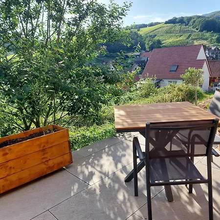 公寓 Winstub Du Vigneron *