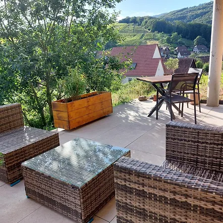 Winstub Du Vigneron Apartment Albe