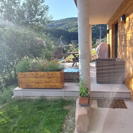 Winstub Du Vigneron 公寓