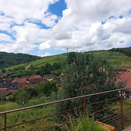 公寓 Winstub Du Vigneron *