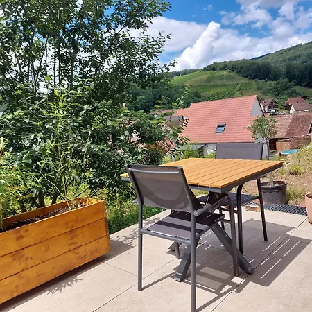 Daire Winstub Du Vigneron Albé