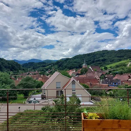 Winstub Du Vigneron 公寓