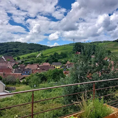Winstub Du Vigneron Apartment Albe