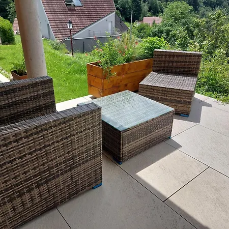 Winstub Du Vigneron 公寓