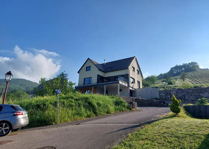Appartement Winstub Du Vigneron *