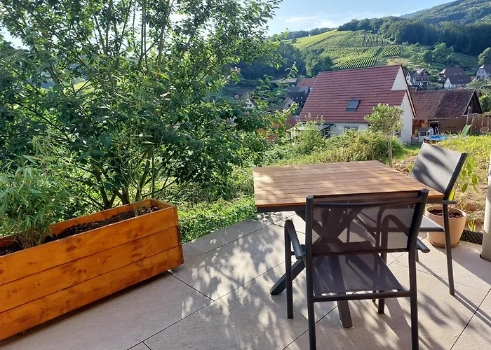 Appartement Winstub Du Vigneron *