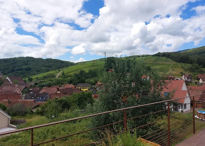 Appartement Winstub Du Vigneron *
