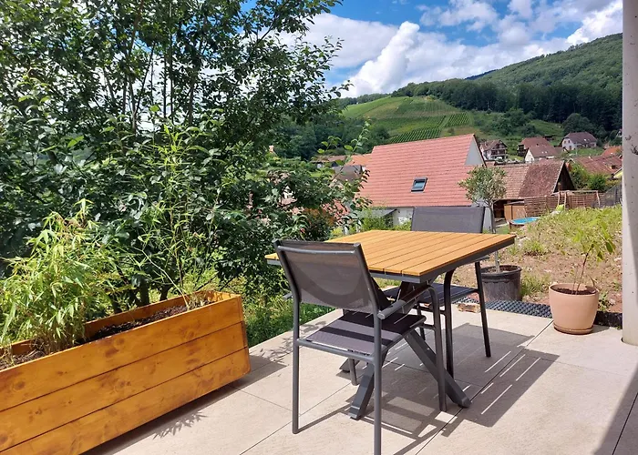 Appartement Winstub Du Vigneron Albé