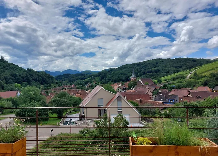 Winstub Du Vigneron Appartement
